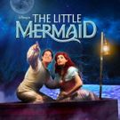 Disney's THE LITTLE MERMAID Set to Open at Hale Theatre in Gilbert