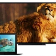 Smithsonian Networks Launches SMITHSONIAN EARTH Streaming Service