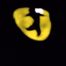 Breaking News: CATS to Return to Broadway This Summer; Andy Blankenbuehler Joins Team
