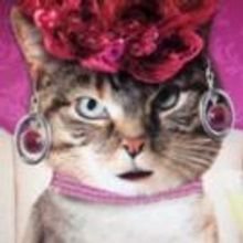 STAGE TUBE: New Promo for LADIES OF EVE at 54 Below