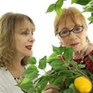 Scully Mansion Presents LEMON TREE, A Love Story Before Valentine's Day