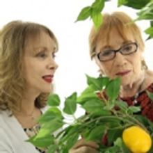 Scully Mansion Presents LEMON TREE, A Love Story Before Valentine's Day
