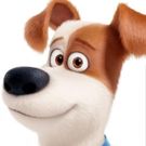 Amtrak Celebrates Universal's THE SECRET LIFE OF PETS With First 'Pets Ride Free' Promotion