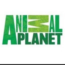 Animal Planet Premieres All-New Series ALASKA PROOF Tonight