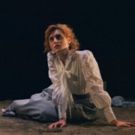 Photo Flash: First Look at New Adaptation of MISS JULIE, Playing This Weekend at…