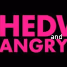 HEDWIG & THE ANGRY INCH Coming to Boch Shubert Theatre This Spring
