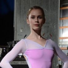 4000 Horses Pull CINDERELLA'S Magical Coach To Five Venues This Winter