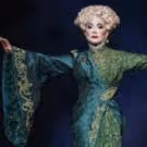 Photo Flash: First Look at Michele Lee as 'Madame Morrible' in WICKED!