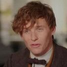VIDEO: Eddie Redmayne and More Talk FANTASTIC BEASTS AND WHERE TO FIND THEM in New…