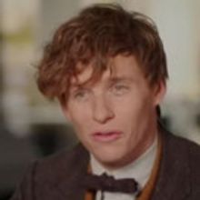 VIDEO: Eddie Redmayne and More Talk FANTASTIC BEASTS AND WHERE TO FIND THEM in New…