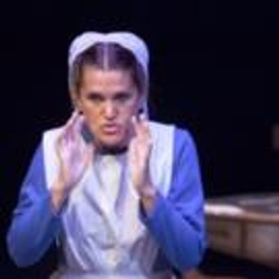 BWW Review: Mustard Seed Theatre's Truly Touching Production of THE AMISH PROJECT