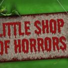 Notre Dame's FFT Production of LITTLE SHOP OF HORRORS Starts Tonight