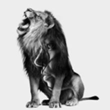 Shaw Festival to Stage Interactive ANDROCLES AND THE LION