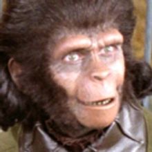 Ridgefield Playhouse to Screen PLANET OF THE APES, 7/27