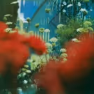 Pulled Apart By Horses Announce New Album 'The Haze', Out 3/17