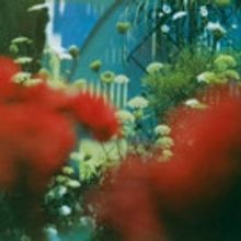 Pulled Apart By Horses Announce New Album 'The Haze', Out 3/17