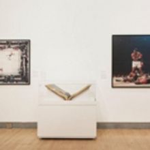 Brooklyn Museum's WHO SHOT SPORTS: A PHOTOGRAPHIC HISTORY, 1843 TO PRESENT To Close