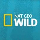Nat Geo WILD and Mashable Announce Exciting New Digital Partnership