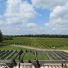 GARDEN STATE WINE GROWERS ASSOCIATION Launches Weekly Radio Show on NJ's WCTC-AM