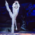 CATS Will Bow in Qatar This February