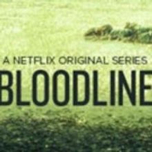 Netflix Orders Third Season of Dramatic Thriller BLOODLINE; Norbert Leo Butz