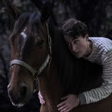 Photo Flash: Meet the Star of EQUUS, Coming to Orlando This Summer
