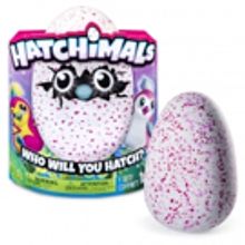 'Water for Elephants' Author Stuck With $23,000 Worth of Hatchimals