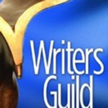 Amy Schumer, BIG SHORT Among Nominees for 2016 Writers Guild Awards; Full List!