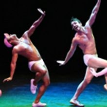 STAGE TUBE: Watch Highlights from BROADWAY BARES FIRE ISLAND!