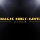 VIDEO: Official - Channing Tatum's MAGIC MIKE LIVE to Bare All on the Vegas Strip