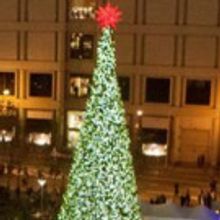 Macy's Presents the 27th Annual Great Tree Lighting Ceremony in Union Square