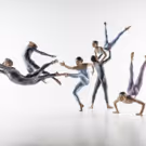 INTERNATIONAL DANCE FESTIVAL BIRMINGHAM 2016 Launches at House of Lords