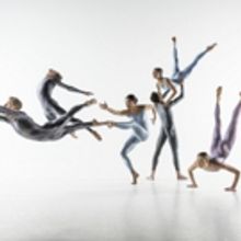 INTERNATIONAL DANCE FESTIVAL BIRMINGHAM 2016 Launches at House of Lords