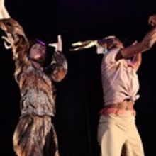 DiverseWorks Presents Meg Wolfe's New FAITFUL DISCO in November