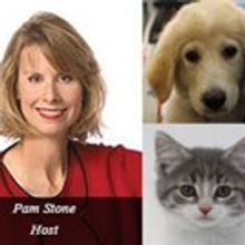 North Shore Animal League America Hosts Annual Celebrity Gala To Help Save Animals…