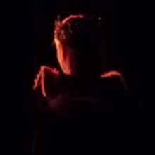 Women in Theatre: DENICE HICKS as King Lear