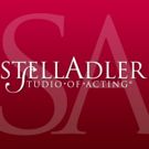 Stella Adler Studio to Host 'THE OTHER BOX' Panel About Mixed-Race America