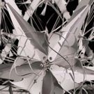 Cedille Records Releases Eighth Blackbird's 'FILAMENT'