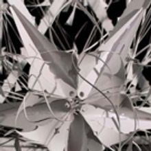 Cedille Records Releases Eighth Blackbird's 'FILAMENT'