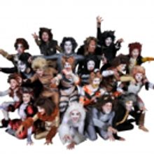 Runaway Stage Production to Present CATS