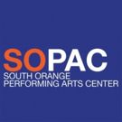 SOPAC Receives 2017 NEA Grant for World Music Artists