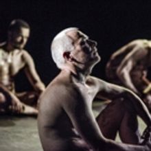 THE CURING ROOM Returns to London For Limited Run, May 4-29