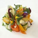 Visiting Chef From Top Monte-Carlo Hotel Introduces New Yorkers To All-Organic…
