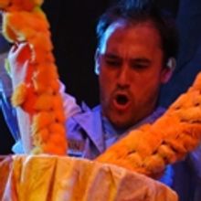 Honolulu Theatre for Youth to Premiere THE TINY TREE