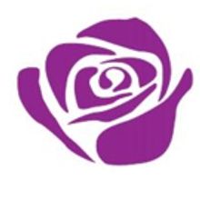 Purple Rose Theatre Company Sets 2016-17 Season