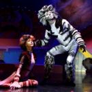 BWW Review: Columbus Children's Theatre Breathes a Fresh New Life Into CATS