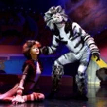 BWW Review: Columbus Children's Theatre Breathes a Fresh New Life Into CATS