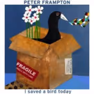 Peter Frampton Reveals New Song 'I Saved A Bird Today'