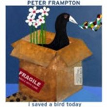 Peter Frampton Reveals New Song 'I Saved A Bird Today'