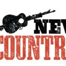 Midwest Premiere of NEW COUNTRY Comes to Chicago's Den Theatre This Spring